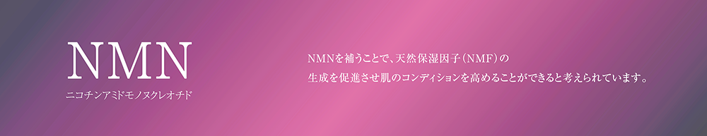 NMNについて