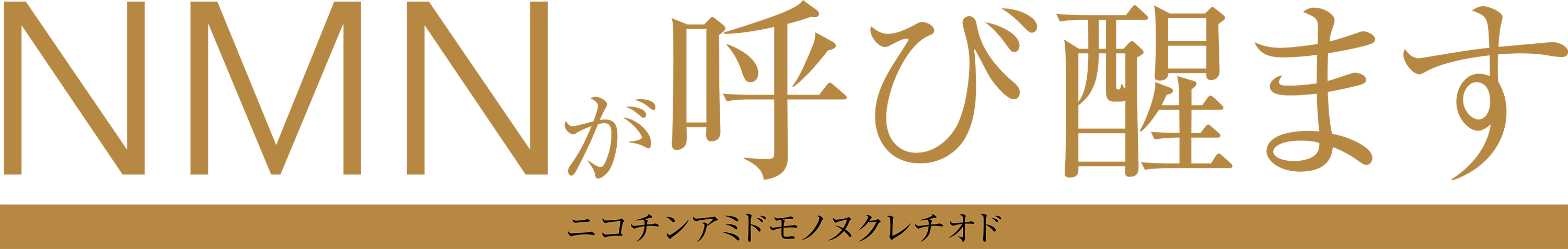 タイトル画像