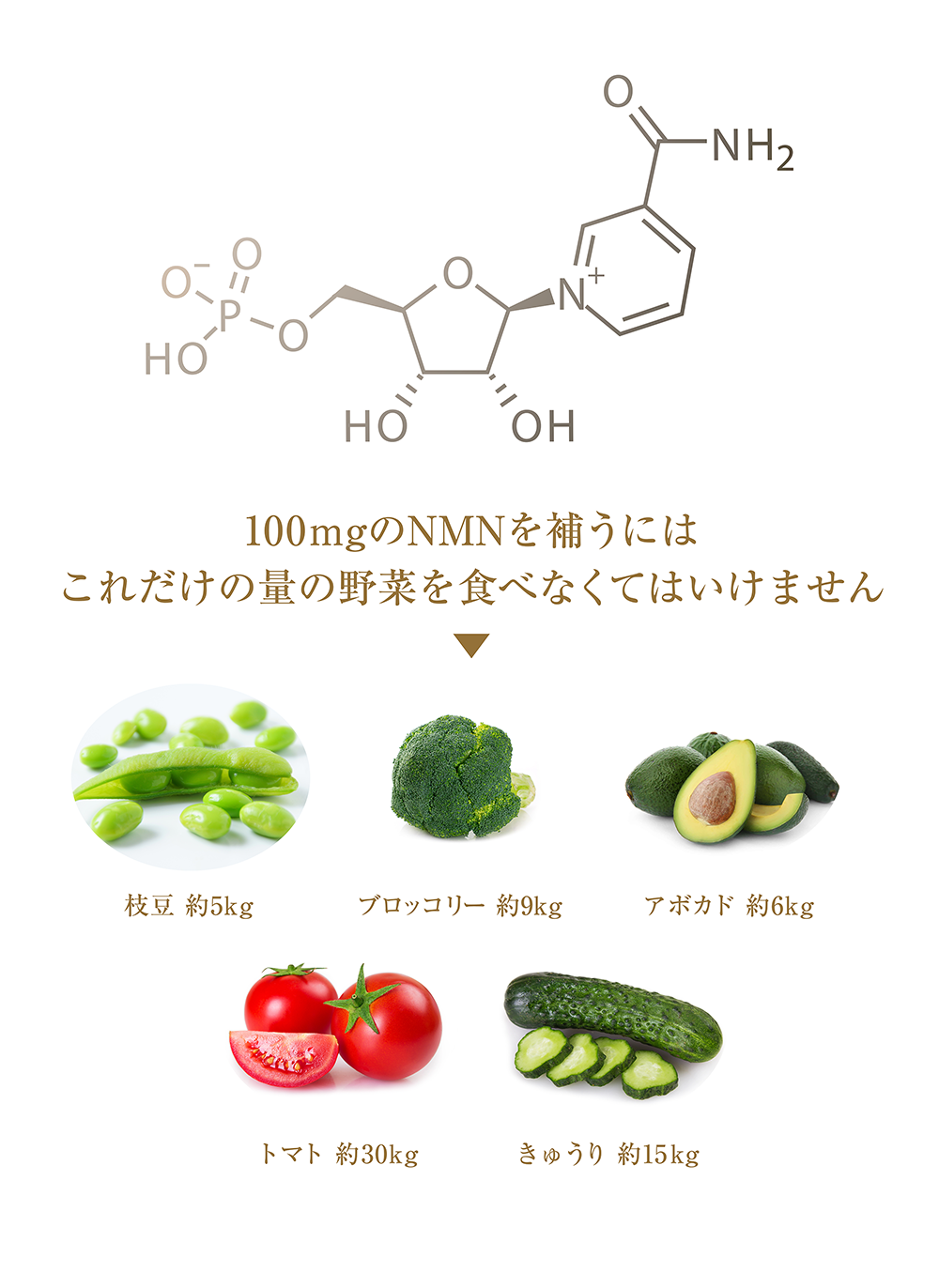 図画像